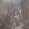 "Black Magic - Panther" by John Seerey-Lester, Signed Limited Edition Print - Framed - Image 8