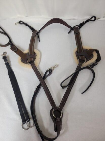 HDR Pro 5 Point Elastic Breastplate, Brown Leather, Cob Size