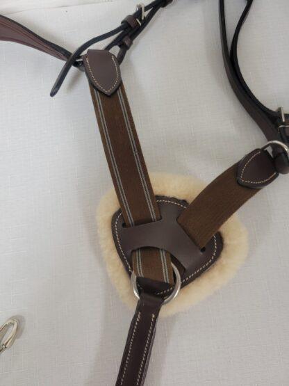 HDR Pro 5 Point Elastic Breastplate, Brown Leather, Cob Size - Image 3