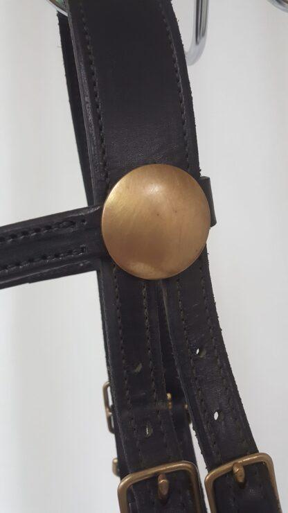 Tucker Halter Bridle - black with brass, horse sized - Image 2
