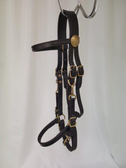 Tucker Halter Bridle - black with brass, horse sized