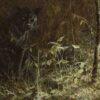 "Black Magic - Panther" by John Seerey-Lester, Signed Limited Edition Print - Framed - Image 9
